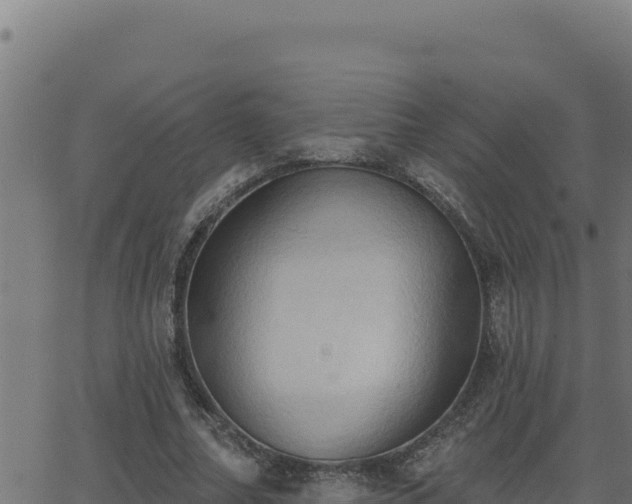 X0000062890682200601171514