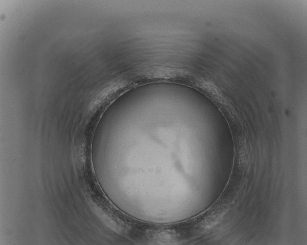 X0000062890683200601171514