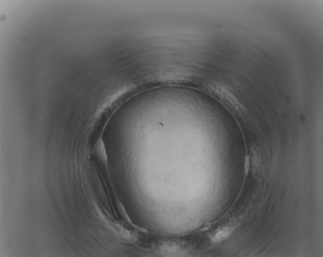 X0000062890684200601171514