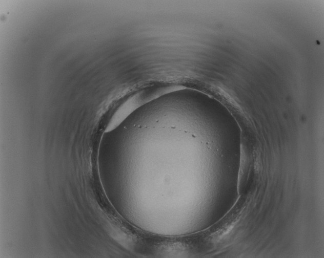 X0000062890685200601171514