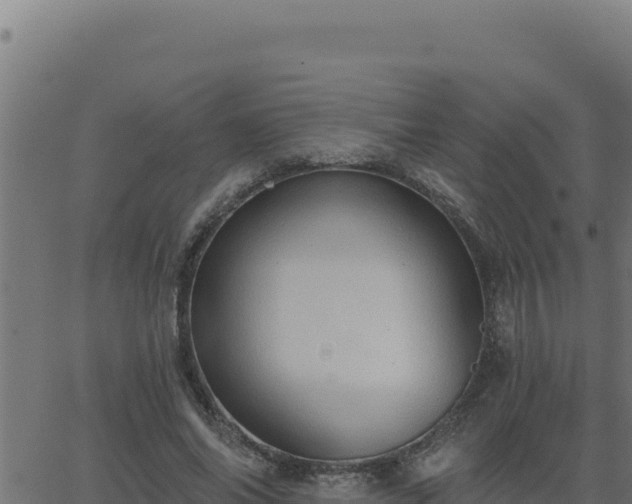 X0000062890686200601171514