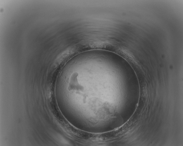 X0000062890687200601171514