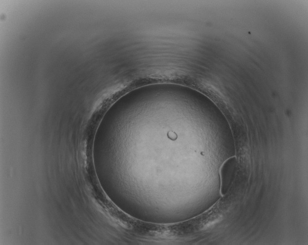 X0000062890688200601171514