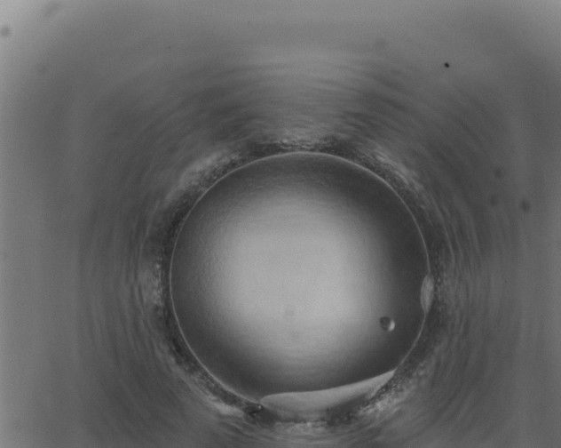 X0000062890689200601171514