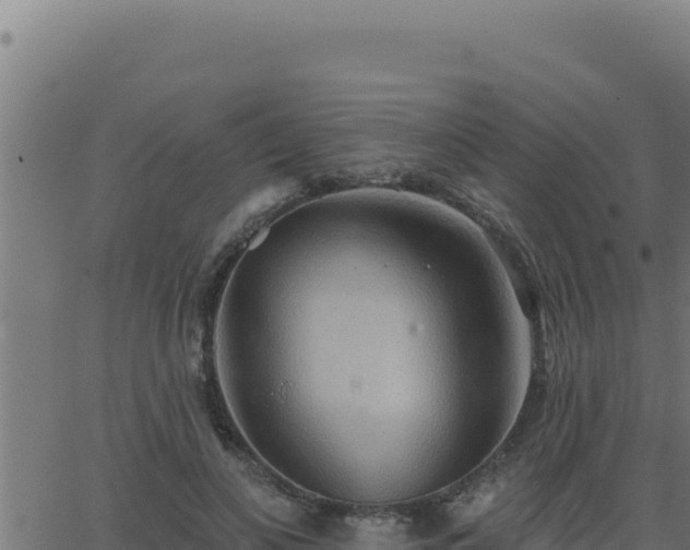 X0000062890693200601171514