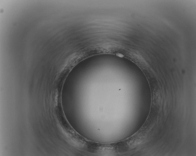 X0000062890694200601171514