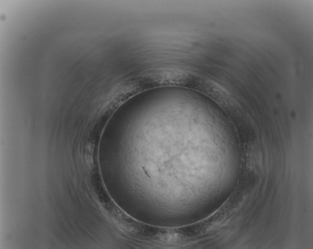 X0000062890695200601171514