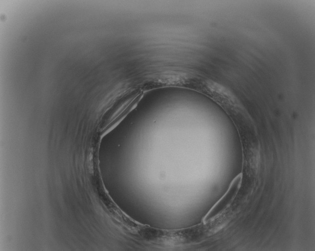 X0000062890696200601171514