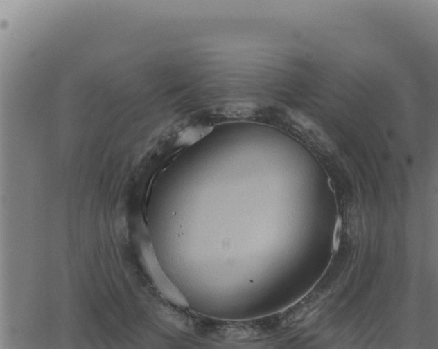 X0000062890697200601171514