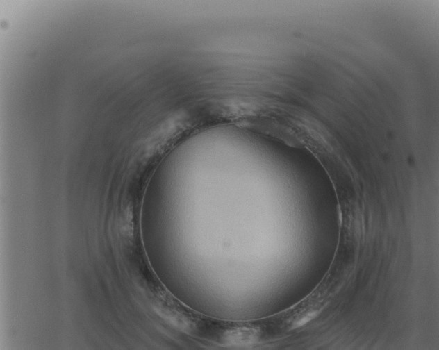 X0000062890700200601171514