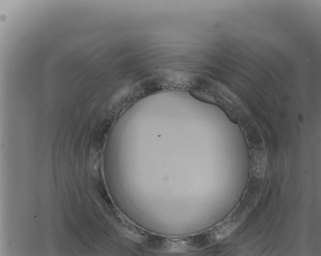 X0000062890701200601171514