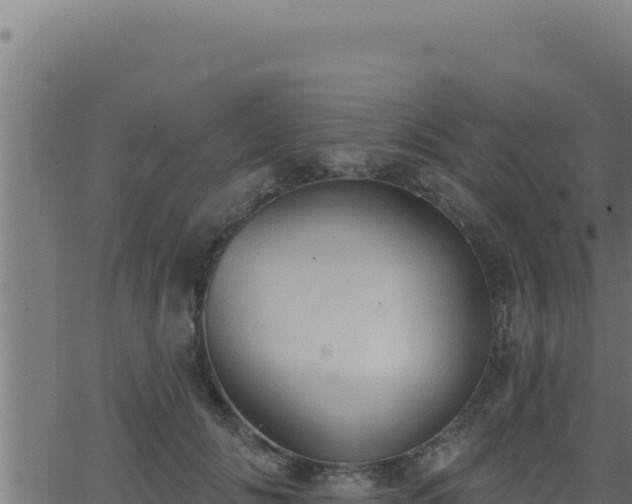 X0000062890702200601171514