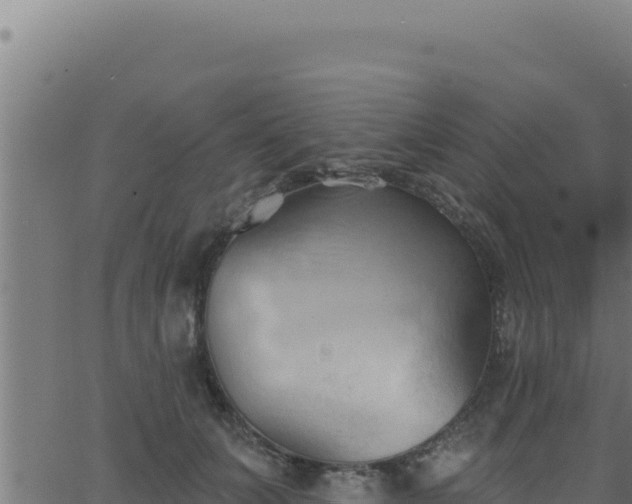 X0000062890703200601171514