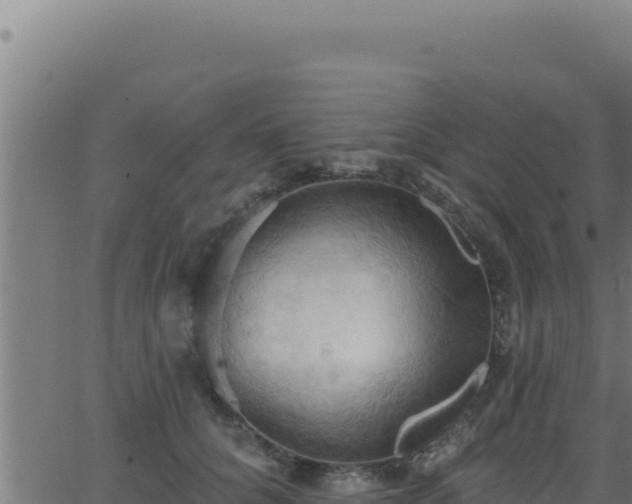 X0000062890704200601171514