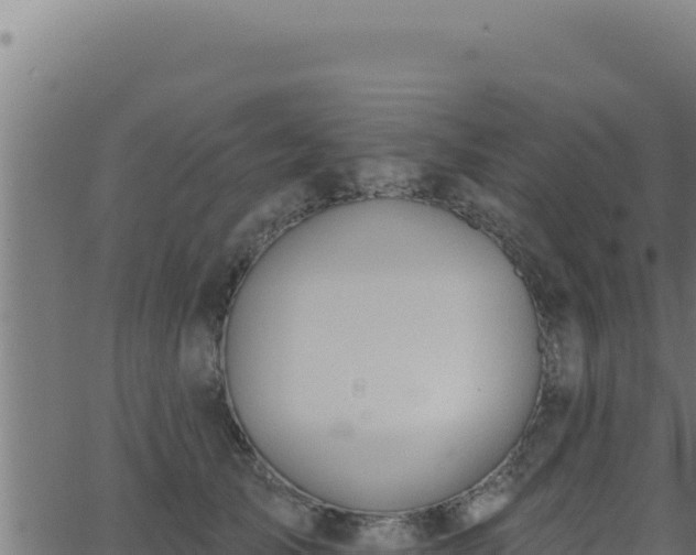 X0000062890705200601171514