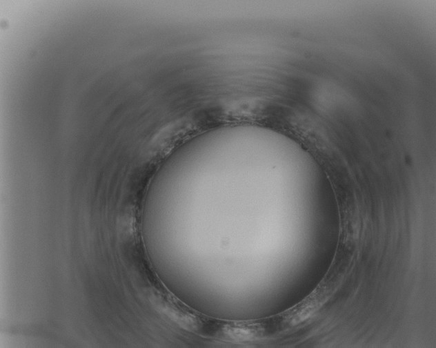 X0000062890706200601171514