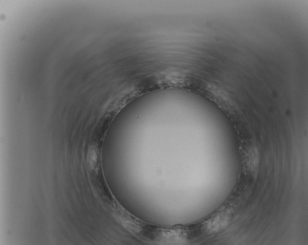 X0000062890709200601171514