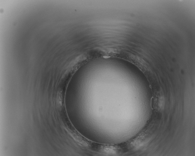 X0000062890710200601171514