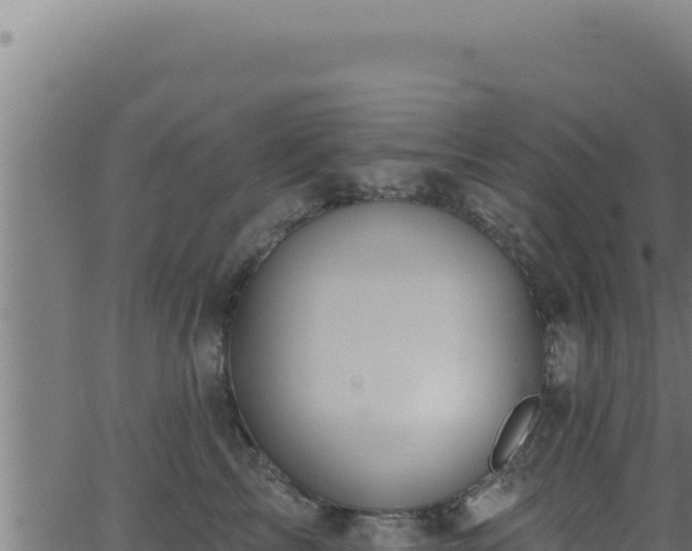 X0000062890713200601171513