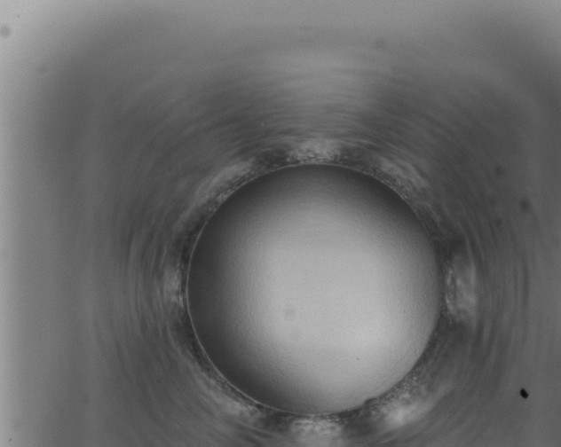 X0000062890714200601171513