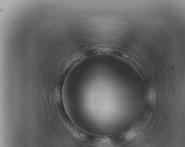 X0000062890715200601171513