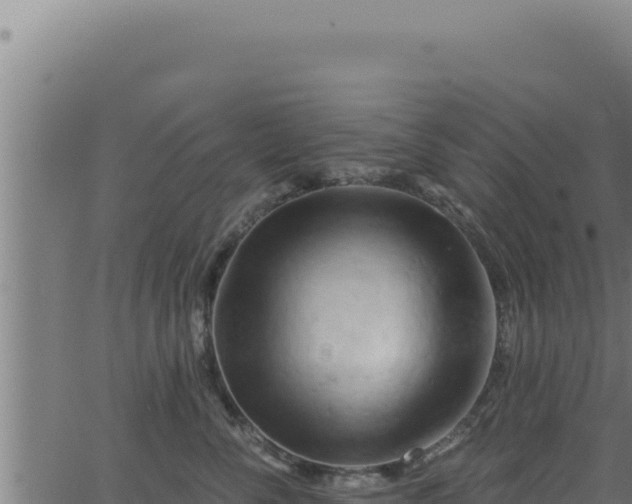 X0000062890716200601171513