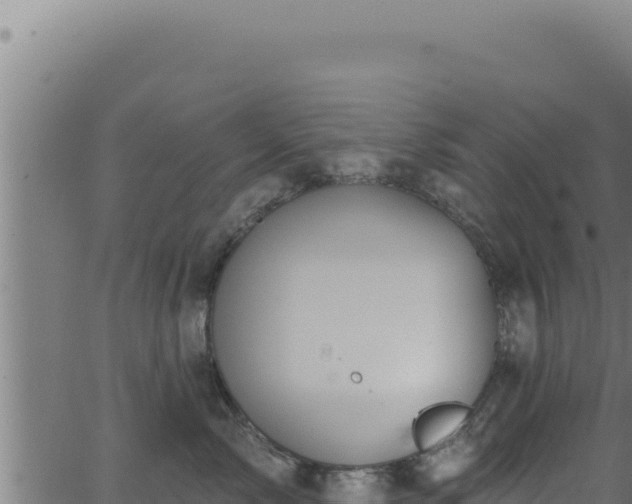 X0000062890717200601171513