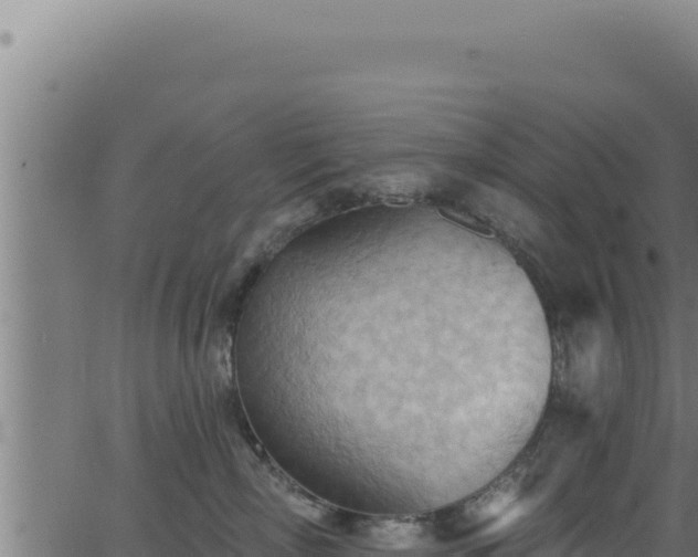 X0000062890718200601171513