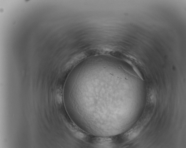 X0000062890719200601171513