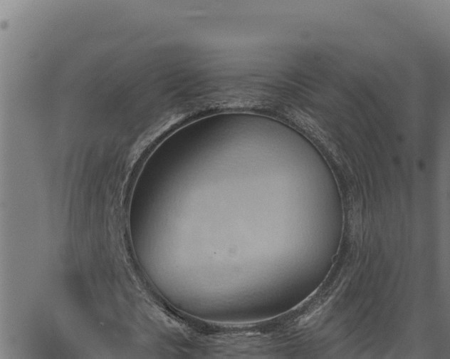 X0000062890721200601171513