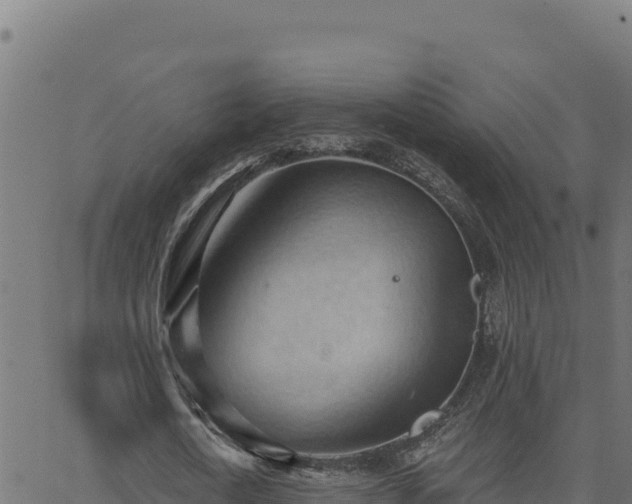 X0000062890722200601171513