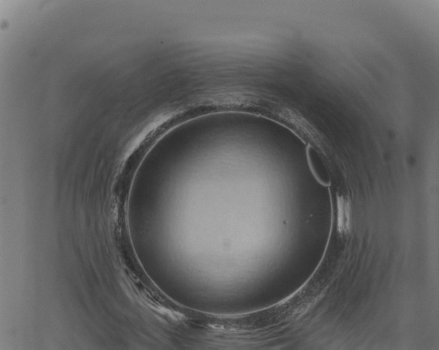 X0000062890723200601171513