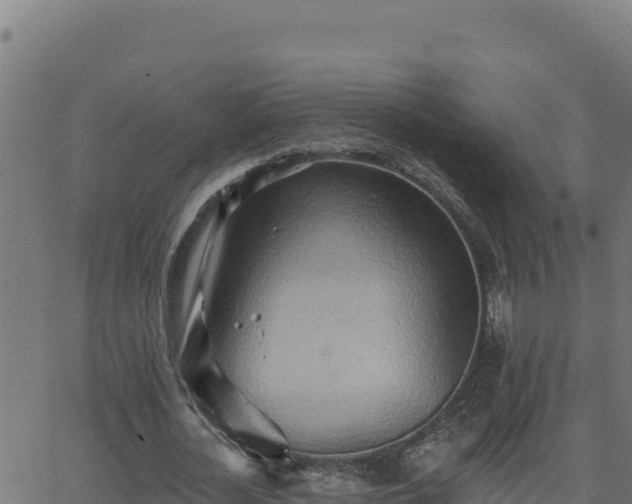 X0000062890724200601171513