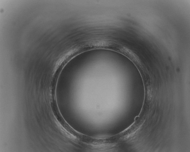 X0000062890725200601171513