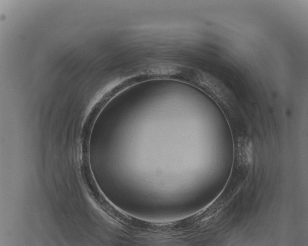 X0000062890726200601171513