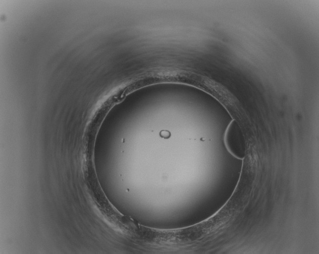 X0000062890728200601171513