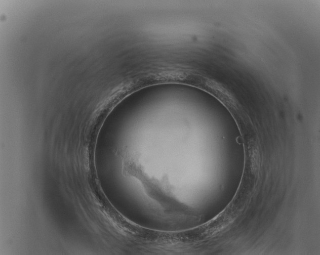 X0000062890729200601171513