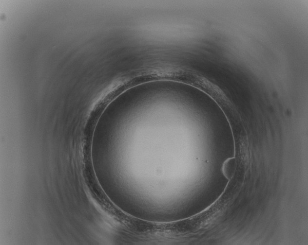 X0000062890730200601171513