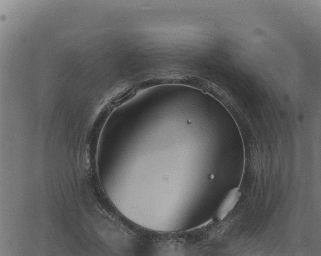 X0000062890731200601171513