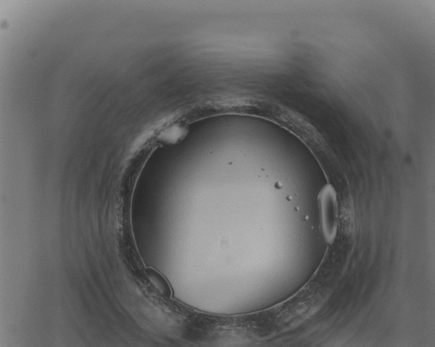 X0000062890732200601171513