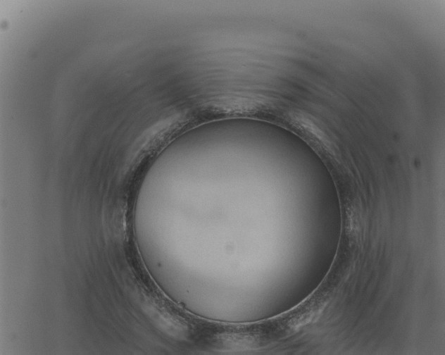 X0000062890733200601171513