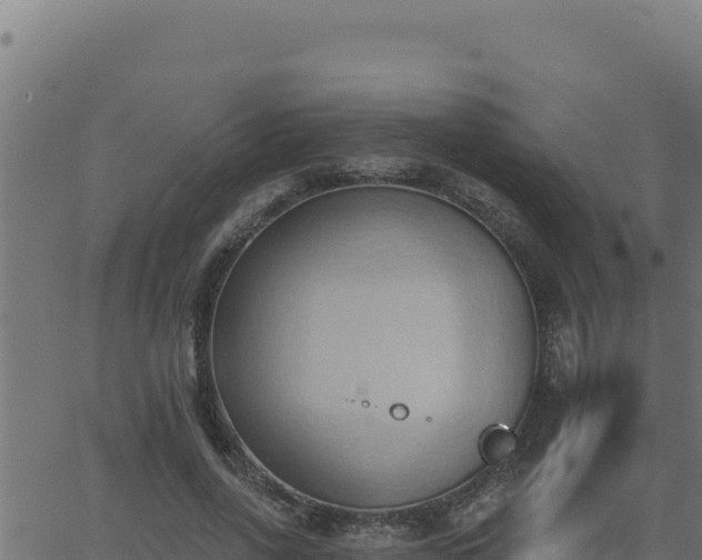 X0000062890734200601171513