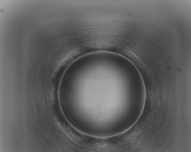 X0000062890735200601171513