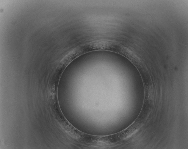 X0000062890737200601171513