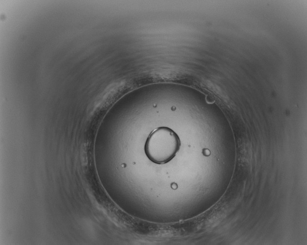 X0000062890738200601171513