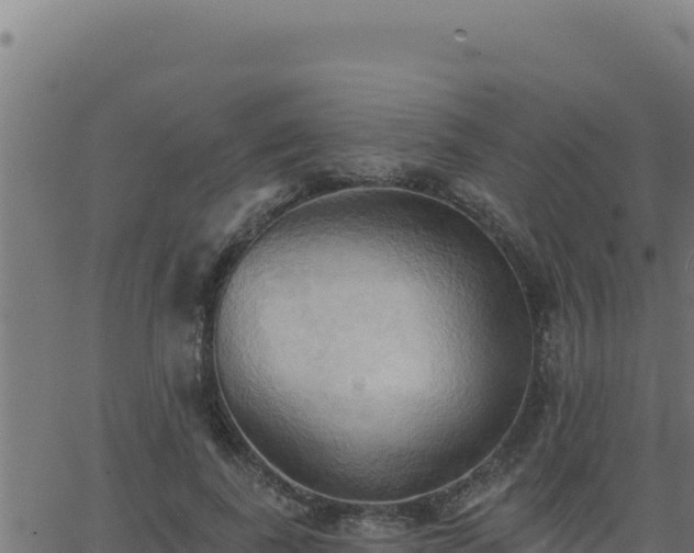 X0000062890739200601171513