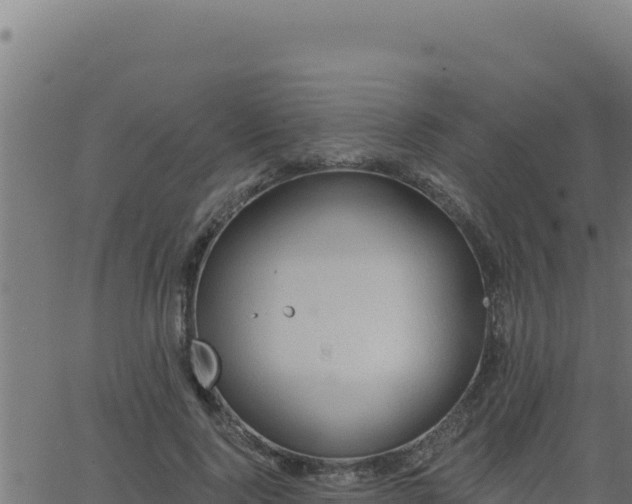 X0000062890740200601171513