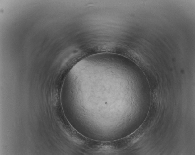 X0000062890741200601171513