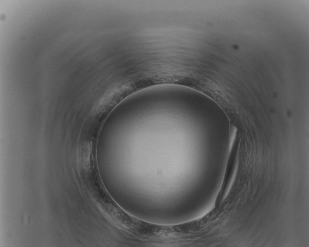 X0000062890742200601171513