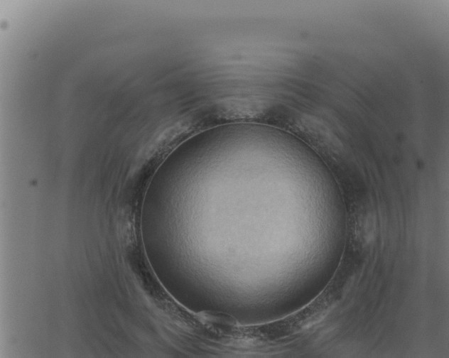 X0000062890743200601171513